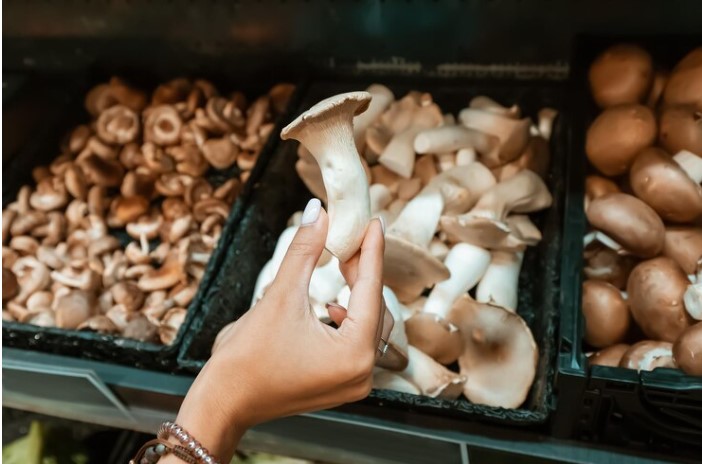 Different mushrooms arranged in a supermarket