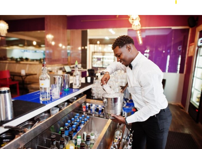 Bartender bar with ice bucket alcoholic beverage preparation