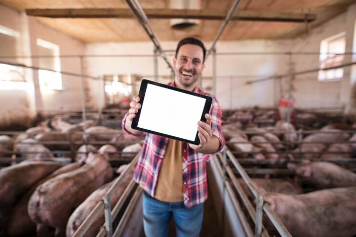 A farmer with his pig farming records