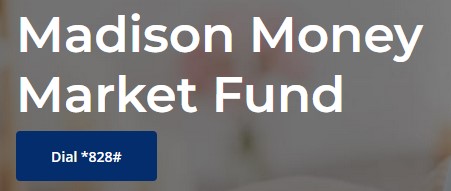 best money market fund in Kenya