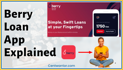 Is the Berry Loan App Worth It? (Read This First!)