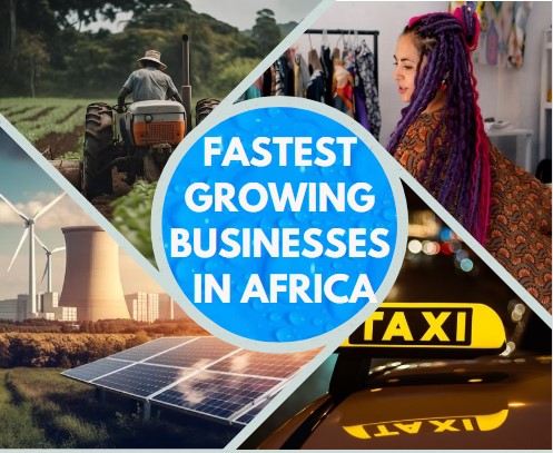 Fastest Growing Businesses in Africa