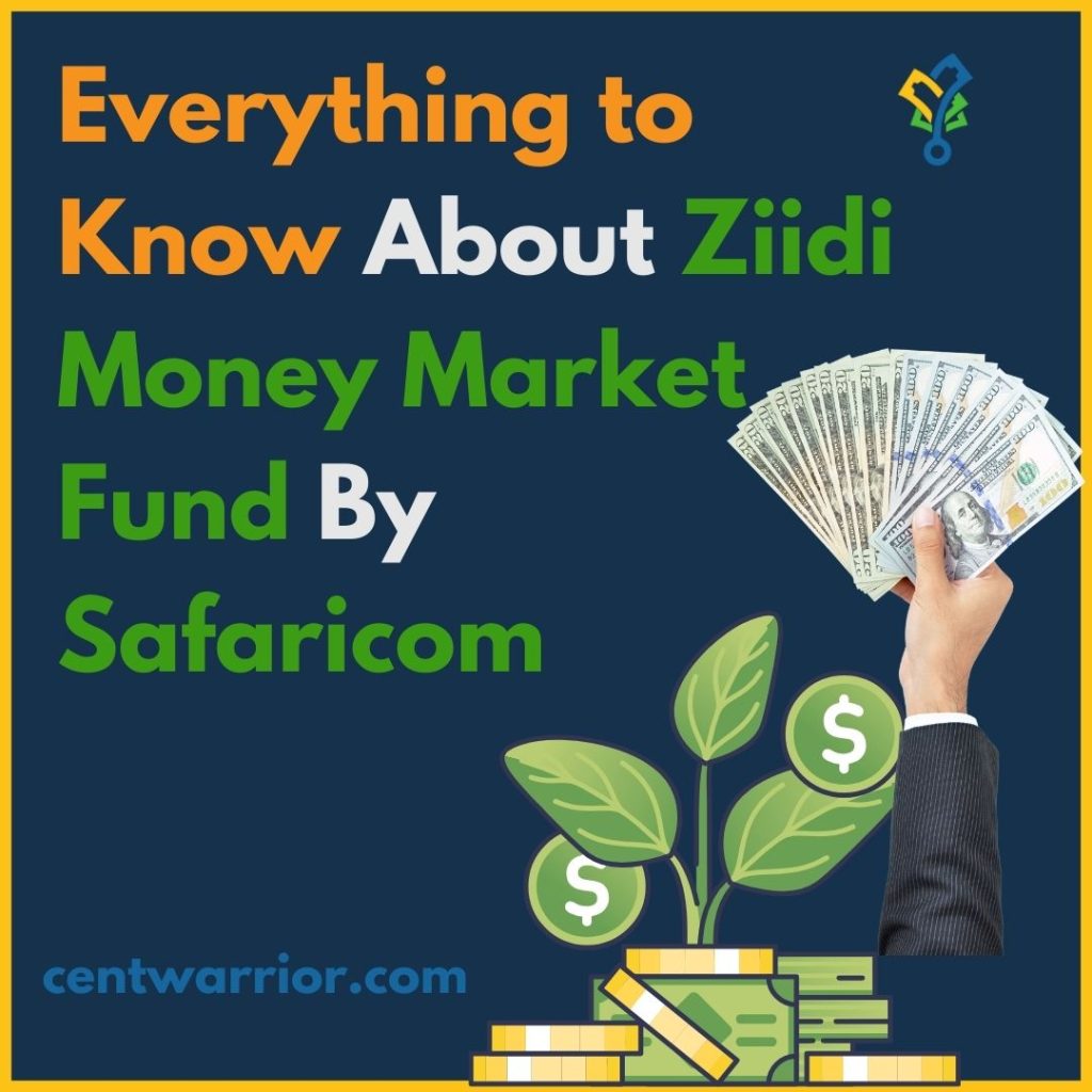 Ziidi money market fund