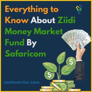 Ziidi money market fund