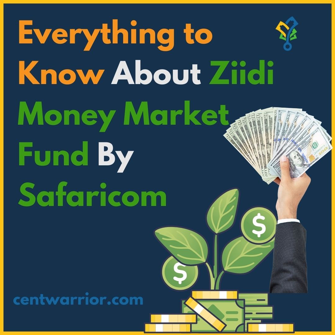 Ziidi money market fund