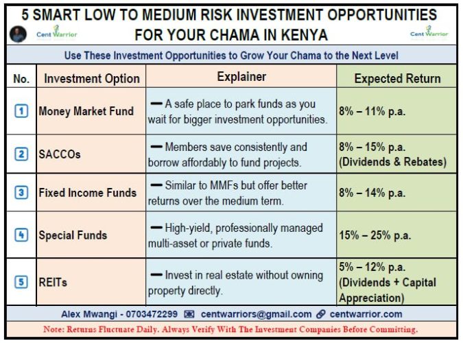 smart investment opportunities for chamas