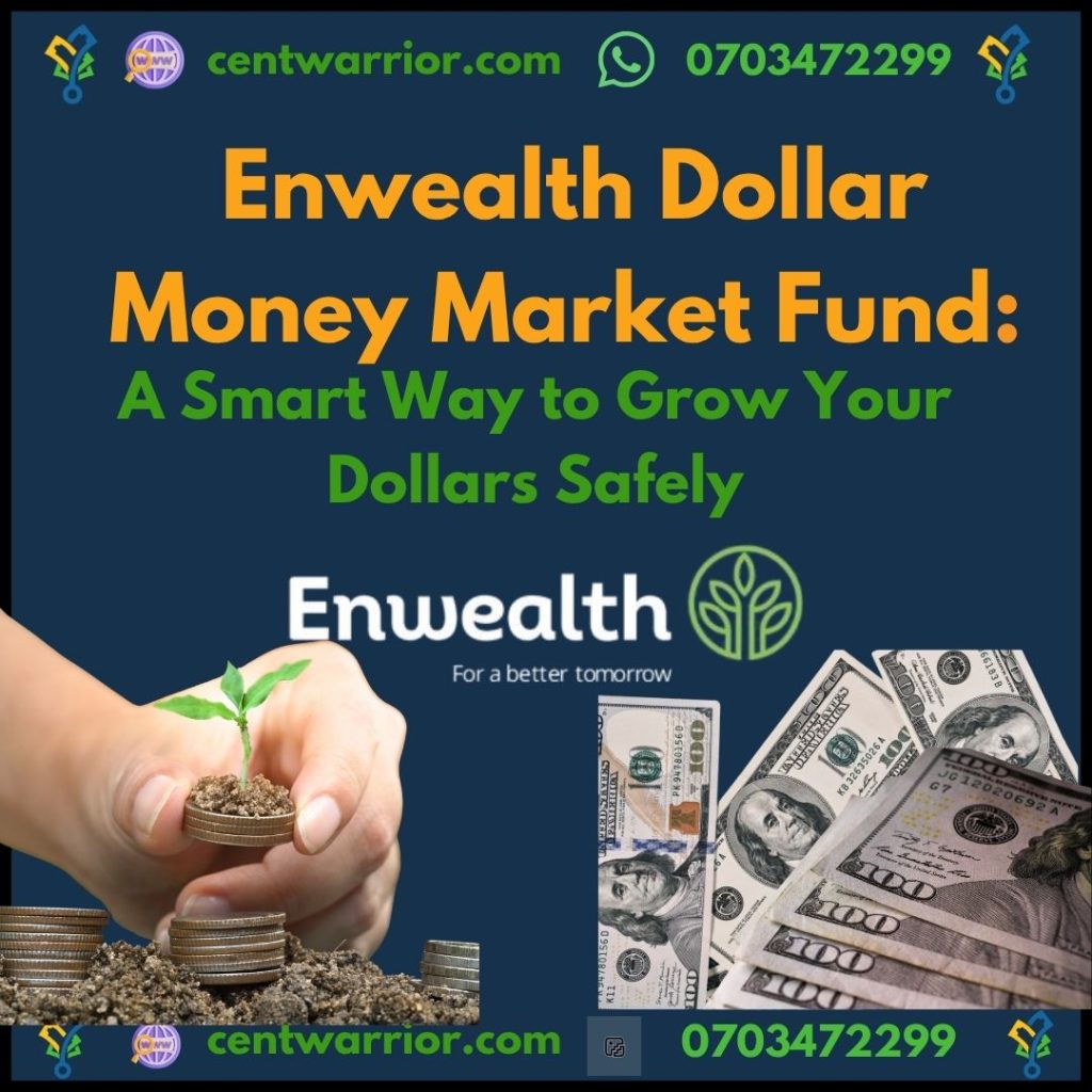 Enwealth Dollar Money Market Fund – A Smart Way to Grow Your Dollars Safely
