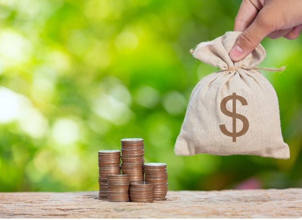 Faulu money market fund USD