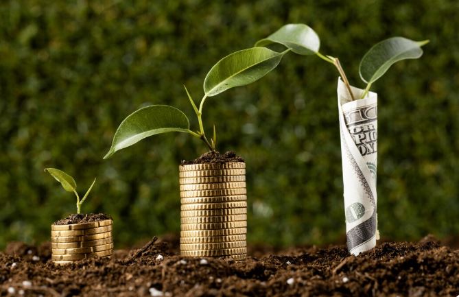 taifa money market fund USD