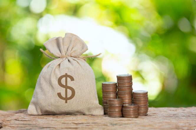 Sanlam USD fiexd income fund