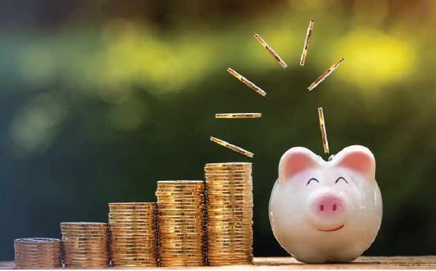 GenAfrica Fixed Income Fund Performance