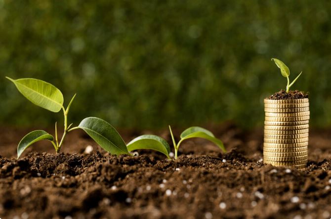 Is GenCap Hazina Bond Fund Right for You