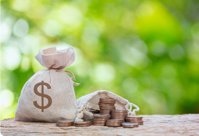 Mansa-X Special Fund USD Investment