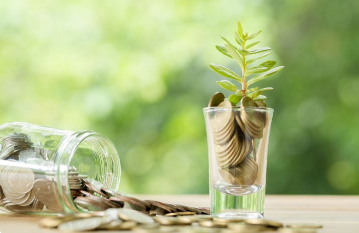 Wanafunzi Fixed Income Fund Performance