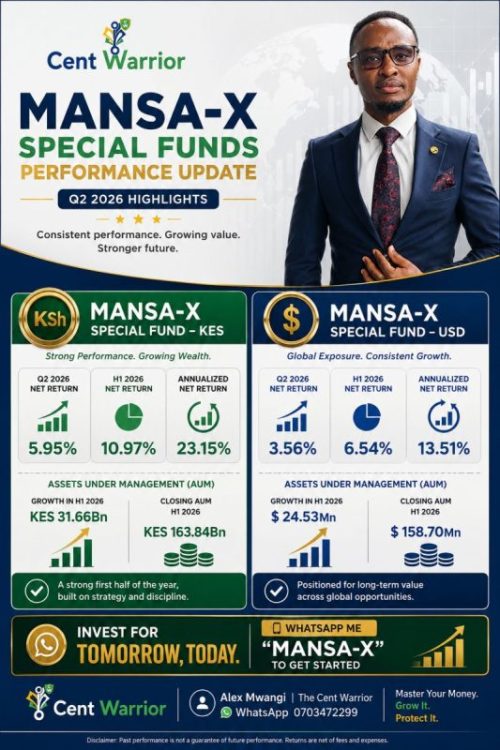Mansa-X Special Fund’s Performance Update