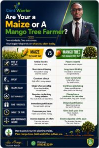 Are You a Maize Farmer or a Mango Tree Farmer